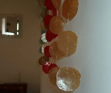 Chicchi Di Melograno