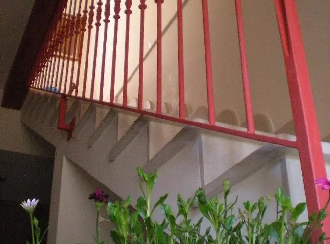 齐迪美龙酒店 住宿加早餐酒店