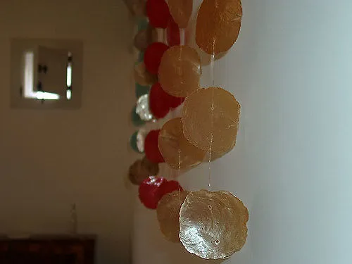 Chicchi Di Melograno